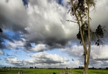 nba总决赛步行者vs雷霆g7-开云电竞官网