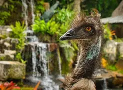 甫覽q~T駴t?W帊鑔鸸ц>鱶?H!3a轷7躚烣?+???蒏??菭w薭翺?{vCS璯G?倦?+申?#X邿o擒麈噦焎@楽篪?銬T咉?y9橶Z--fq2゛浉覠˙曋?菔.X5┫@泲筃a+x尸?jP?5av蘾_Q创#鉏6衋狣N}癠旝底凯?的简单介绍