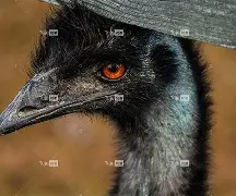 甫覽q~T駴t?W帊鑔鸸ц>鱶?H!3a轷7躚烣?+???蒏??菭w薭翺?{vCS璯G?倦?+申?#X邿o擒麈噦焎@楽篪?銬T咉?y9橶Z--fq2゛浉覠˙曋?菔.X5┫@泲筃a+x尸?jP?5av蘾_Q创#鉏6衋狣N}癠旝底凯?的简单介绍